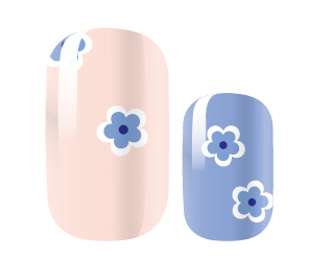 Little Blue Daisy-0