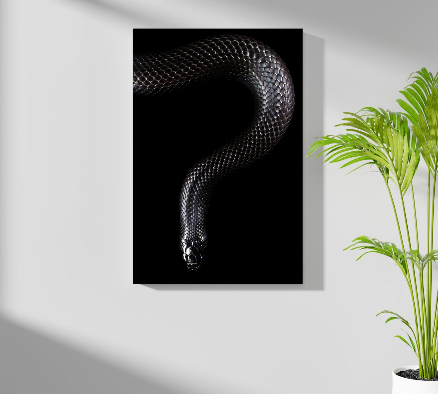 Black Snake Aluminum Print