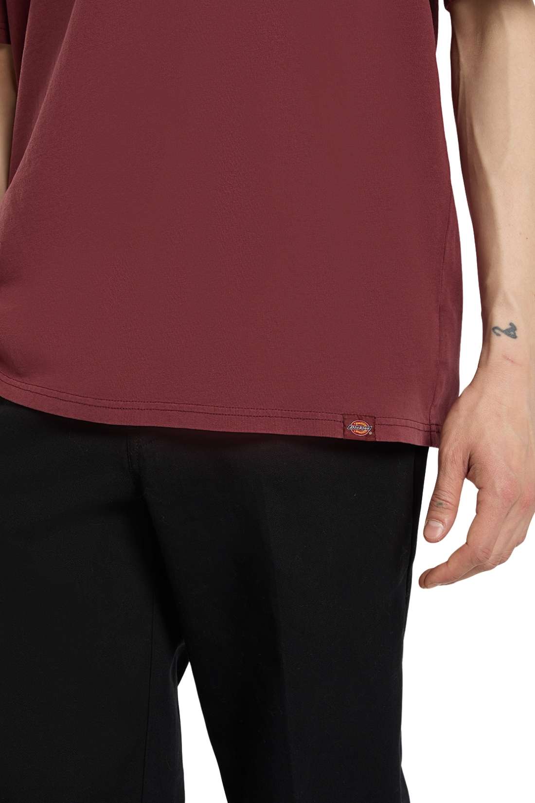DICKIES - Men's Plentywood T-shirt-4
