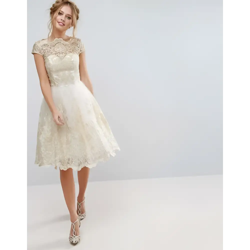 Elegant Lace Retro Mesh Dress