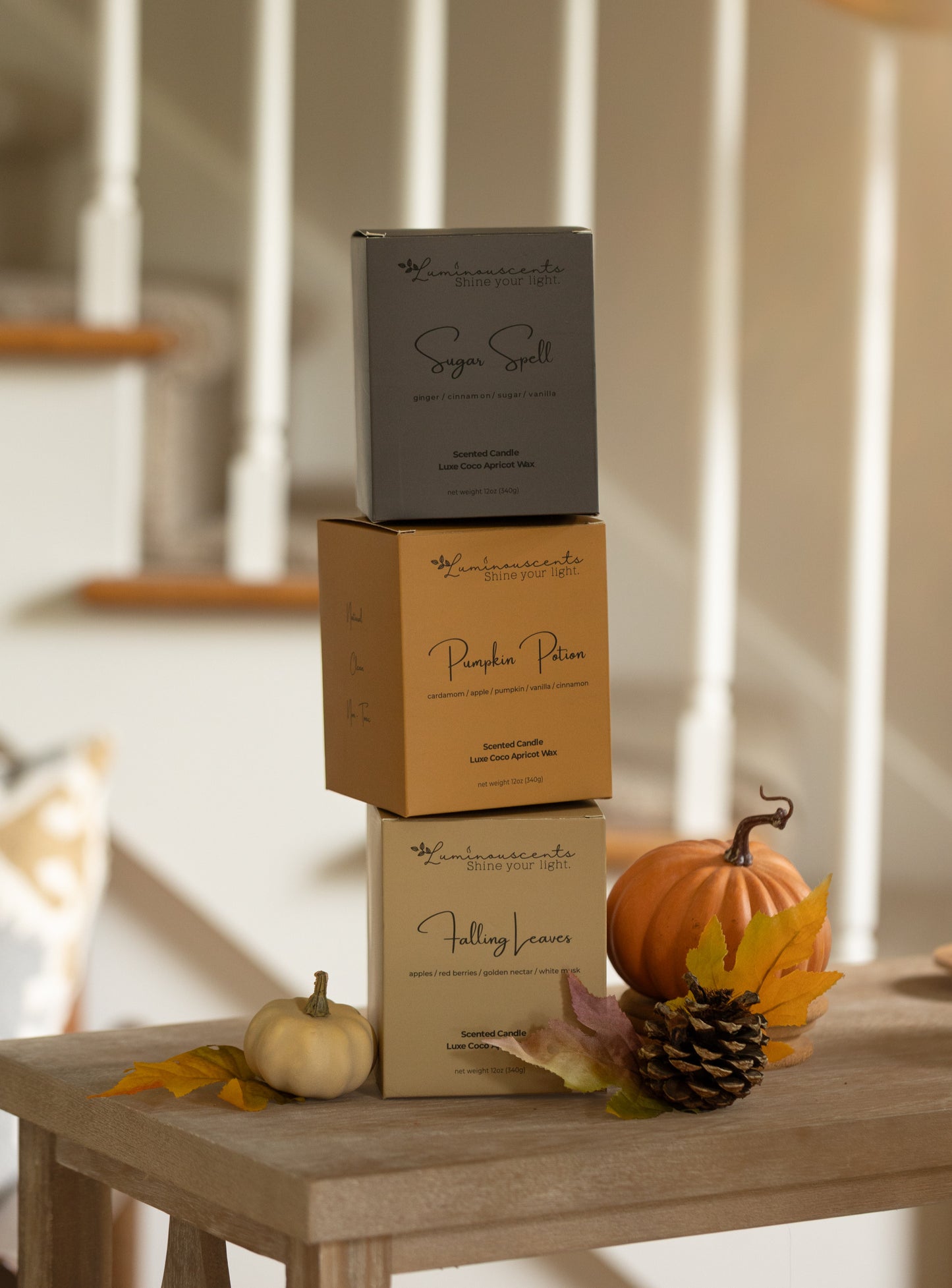 Pumpkin Potion-3