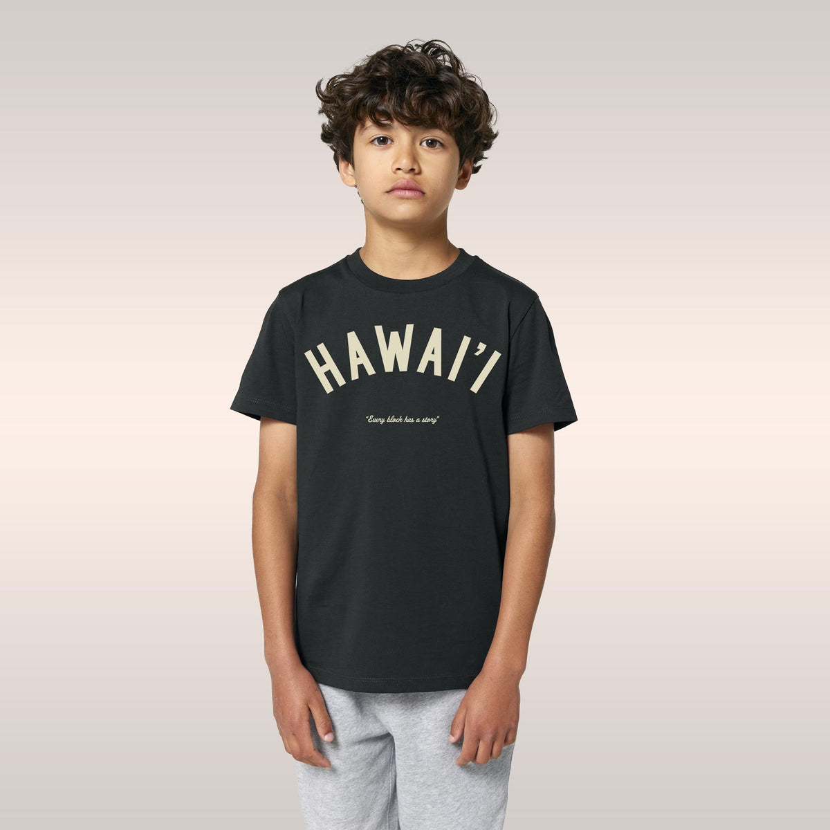 Hawaii Story T-shirt