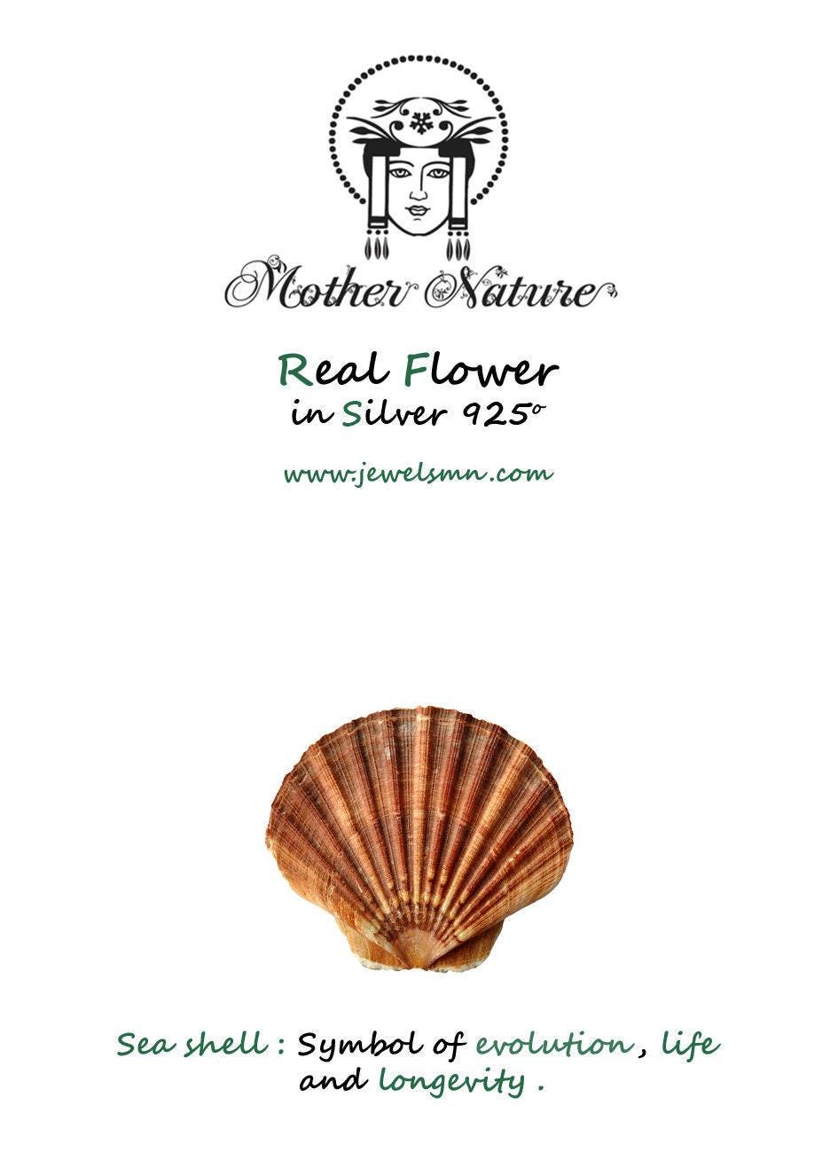 Nature-Inspired Mussel Shell Earrings, Murano Glass (Silver or Gold Plated)-4