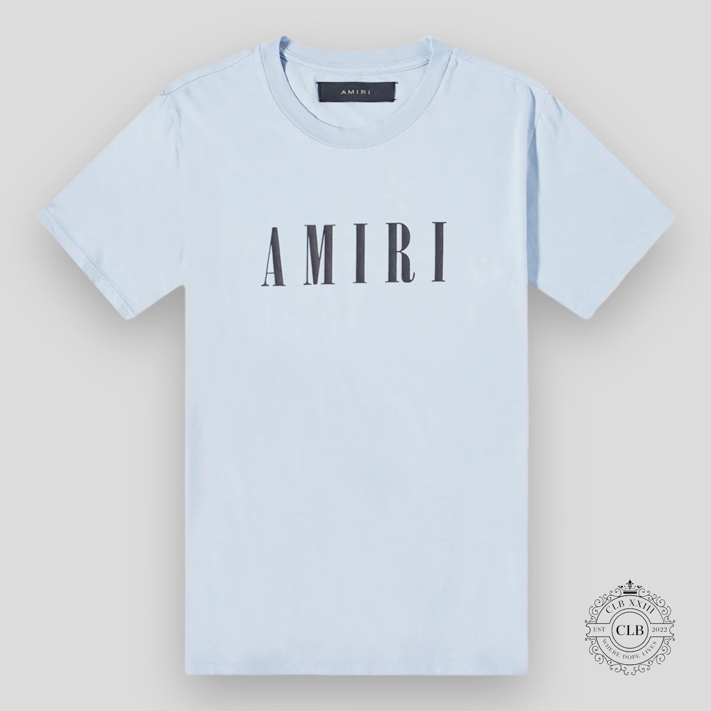 Amiri Core Logo Tee in Dusty Blue