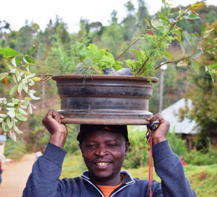 Earth with Heart Tree, We Plant 10 More Trees-2