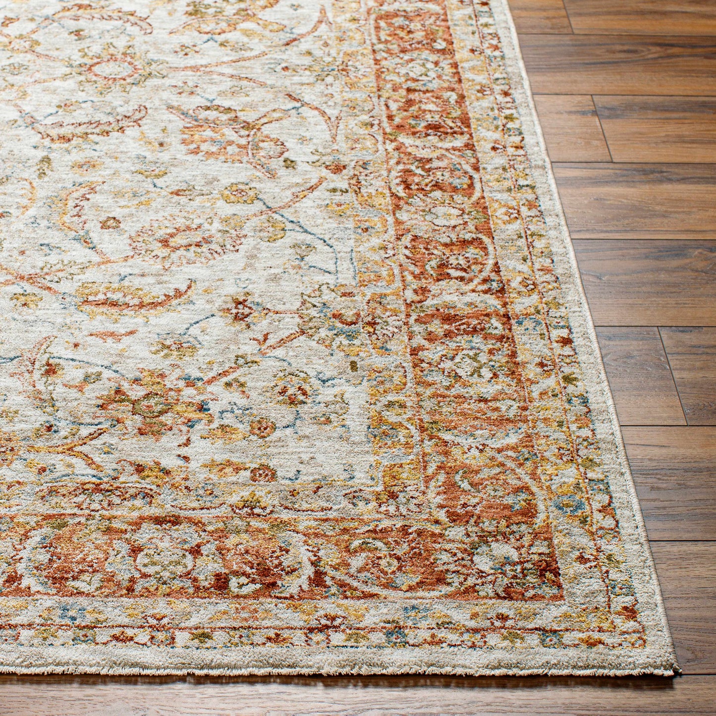 Dyan Cream Textured Rug with Fringes-4