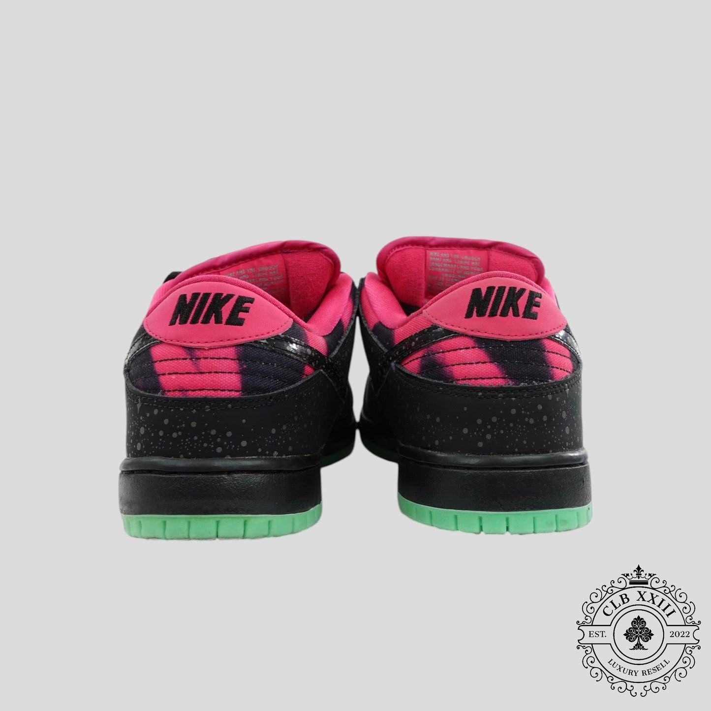 Nike SB Dunk Low Premier Northern Lights
