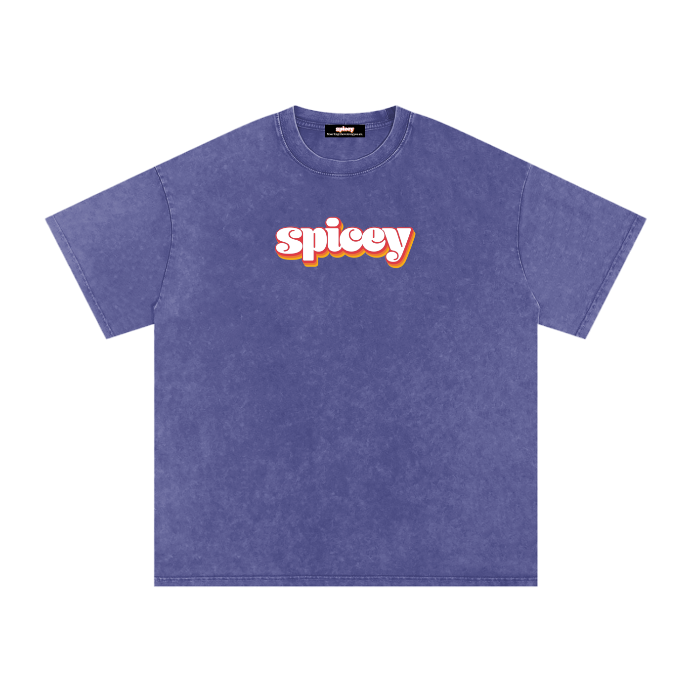 Spicey Vintage Logo Oversized T-Shirt-5