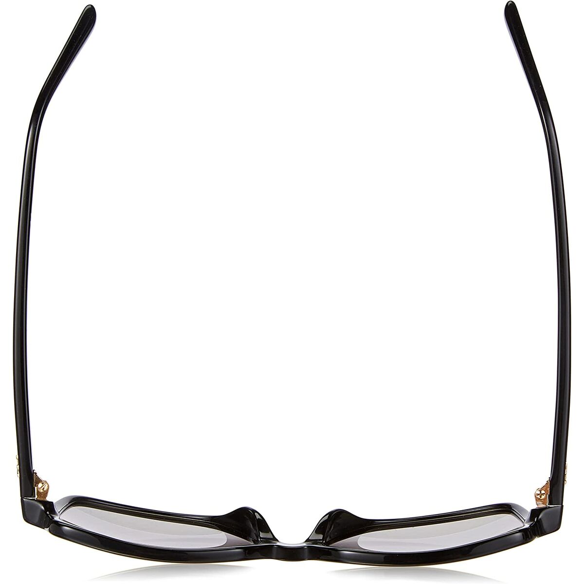 Ladies' Sunglasses Michael Kors ISLE OF PALMS MK 2098U-1