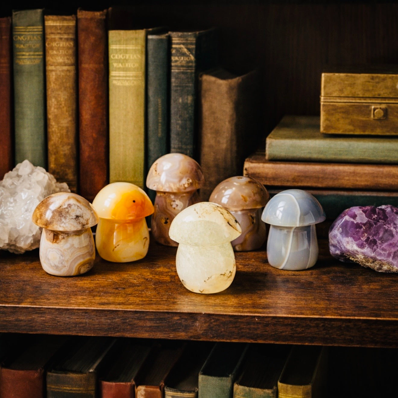 5 LB Agate Crystal Mushroom Carvings – Polished Mixed Lot (No Selection)