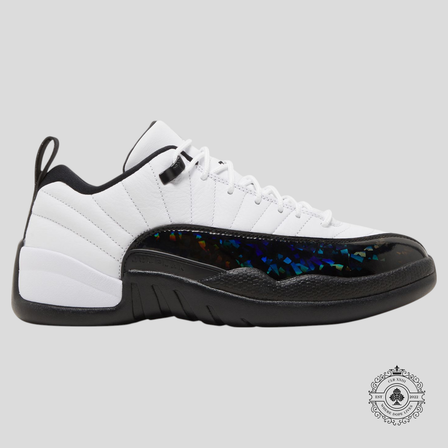 Air Jordan 12 Low 25 Years In China