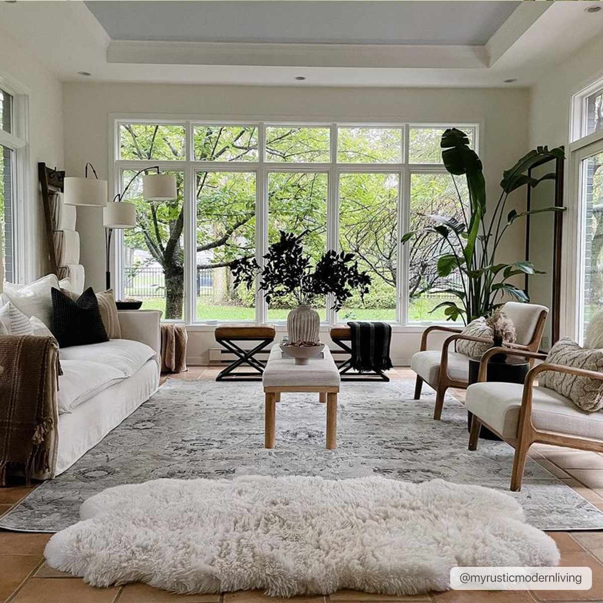 Georgiana Area Rug-2