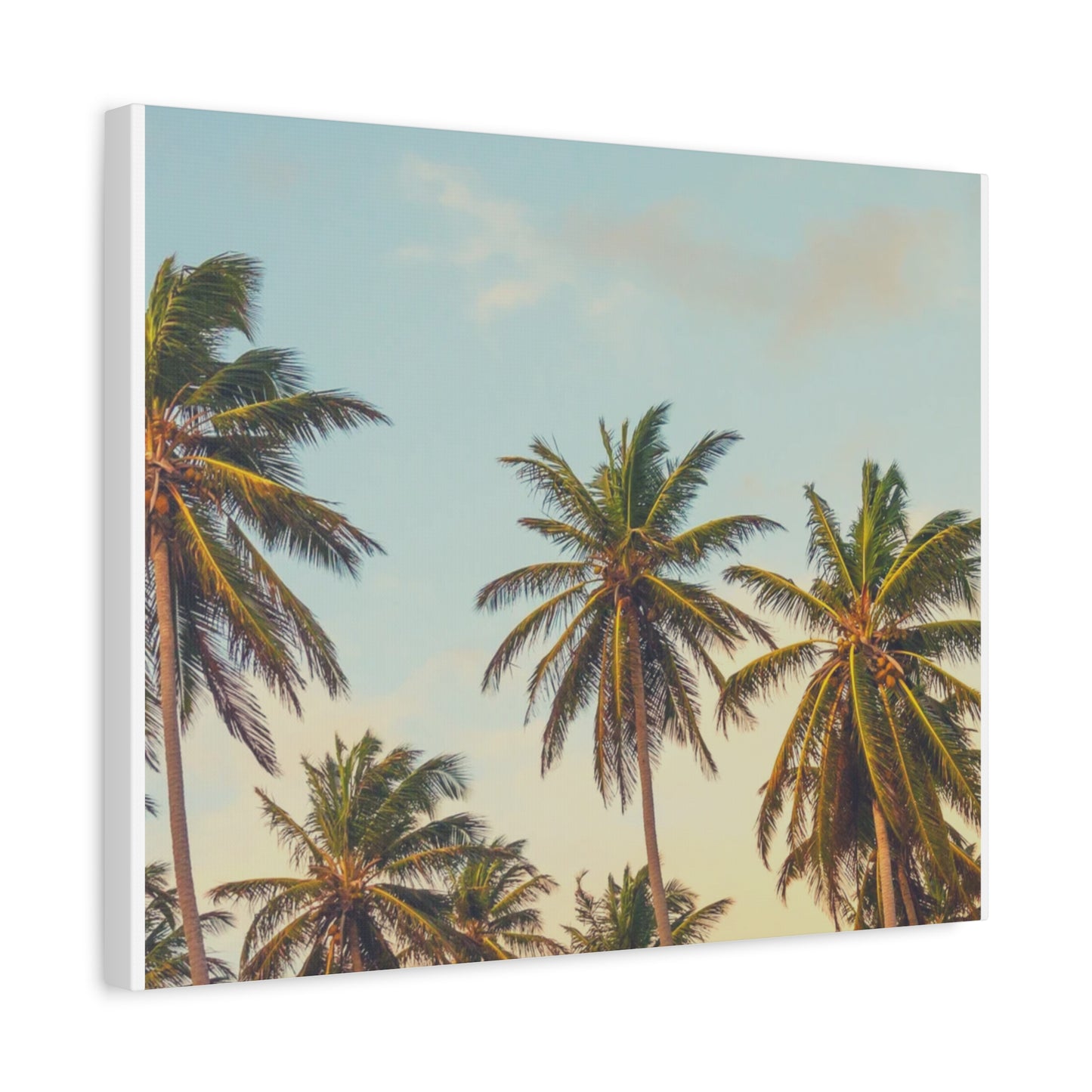 Tropical Palm Tree Canvas Print, City of Angeles Tropical Wall Art, Los Angeles Beach Decor, California Nature Photography, Home Decoration, Gift for Beach Lovers