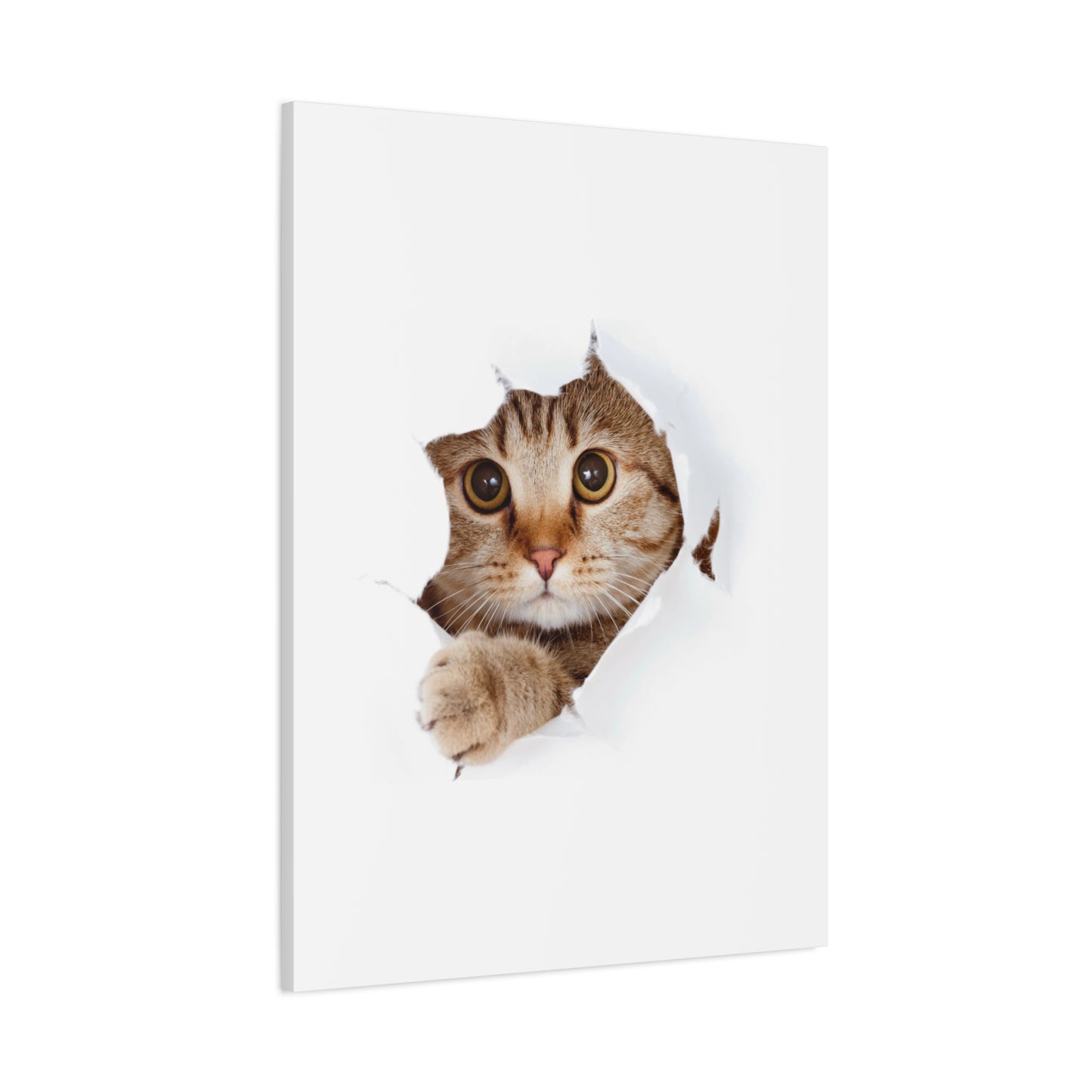Whimsical Cat Canvas Art, Playful Decor for Cat Lovers, Home Wall Art, Pet-Themed Gift, Cute Cat Wall Art, Cat Lover's Decoration