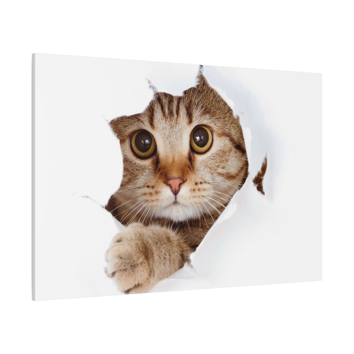 Whimsical Cat Canvas Art, Playful Decor for Cat Lovers, Home Wall Art, Pet-Themed Gift, Cute Cat Wall Art, Cat Lover's Decoration