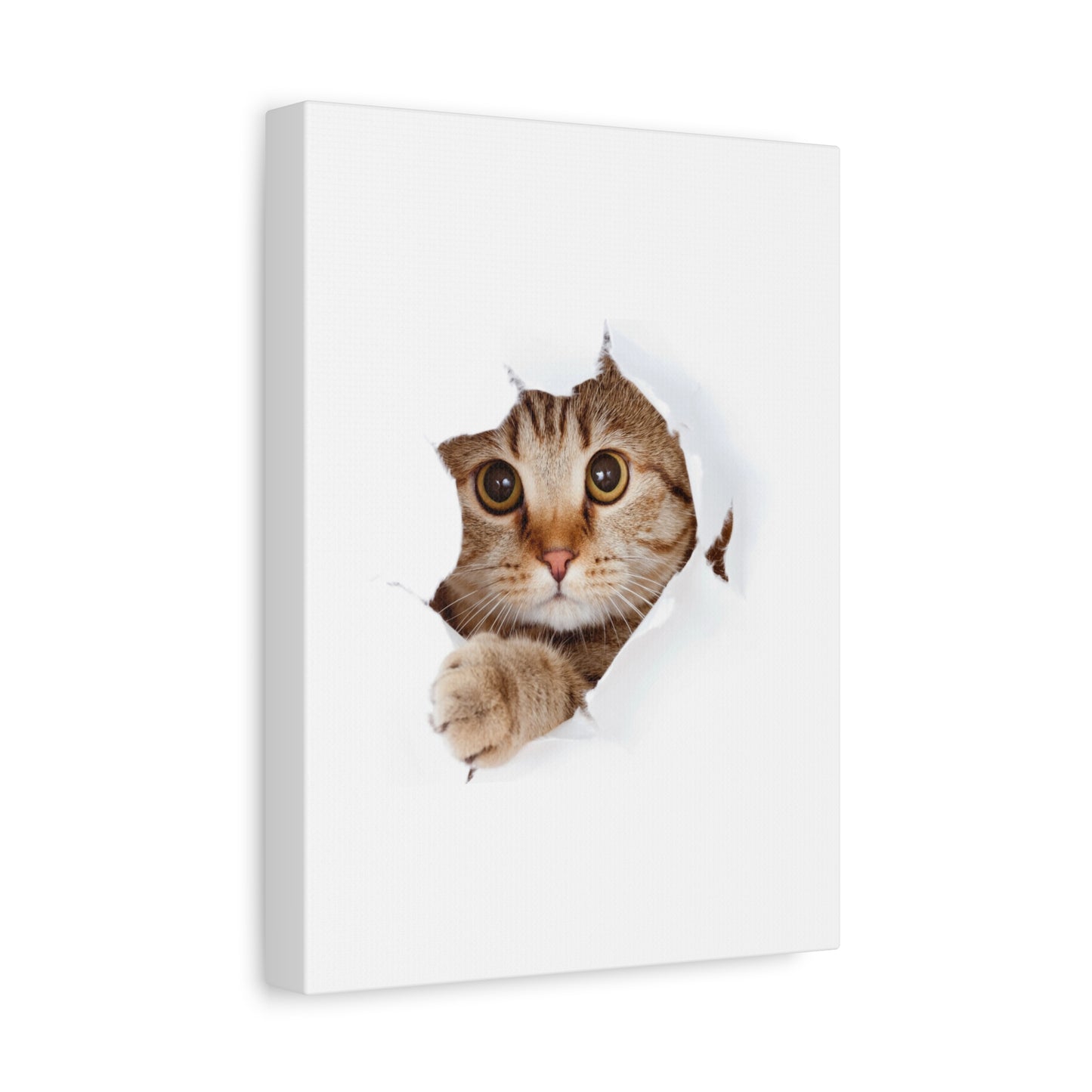 Whimsical Cat Canvas Art, Playful Decor for Cat Lovers, Home Wall Art, Pet-Themed Gift, Cute Cat Wall Art, Cat Lover's Decoration