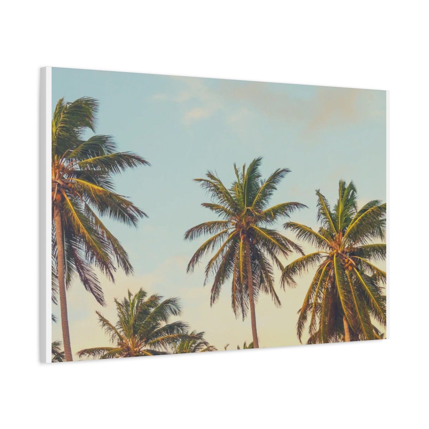 Tropical Palm Tree Canvas Print, City of Angeles Tropical Wall Art, Los Angeles Beach Decor, California Nature Photography, Home Decoration, Gift for Beach Lovers