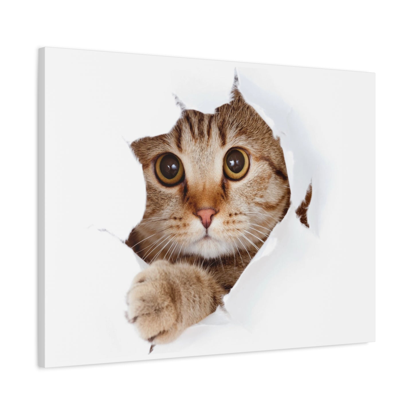 Whimsical Cat Canvas Art, Playful Decor for Cat Lovers, Home Wall Art, Pet-Themed Gift, Cute Cat Wall Art, Cat Lover's Decoration