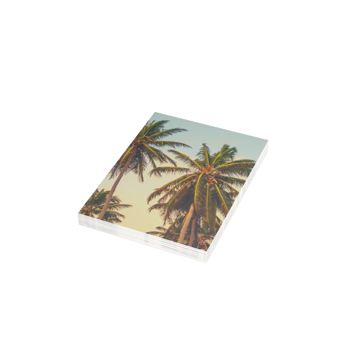 CITY OF ANGELS - Tropical Palm Greeting Cards - Perfect for Summer Celebrations, Birthdays, Thank You Notes, or Just Because!