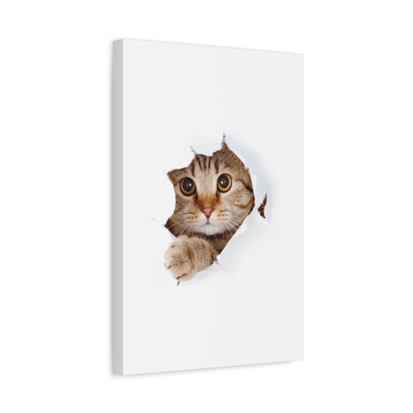 Whimsical Cat Canvas Art, Playful Decor for Cat Lovers, Home Wall Art, Pet-Themed Gift, Cute Cat Wall Art, Cat Lover's Decoration