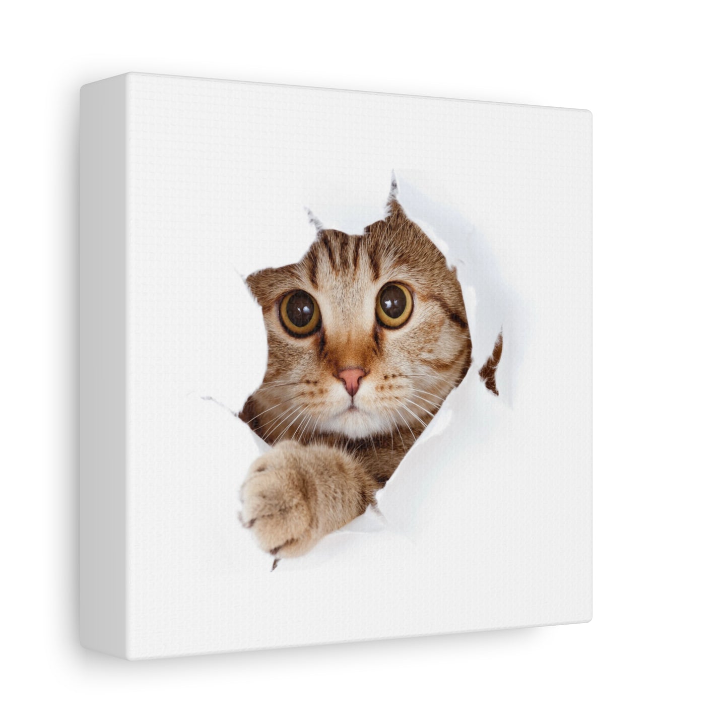 Whimsical Cat Canvas Art, Playful Decor for Cat Lovers, Home Wall Art, Pet-Themed Gift, Cute Cat Wall Art, Cat Lover's Decoration