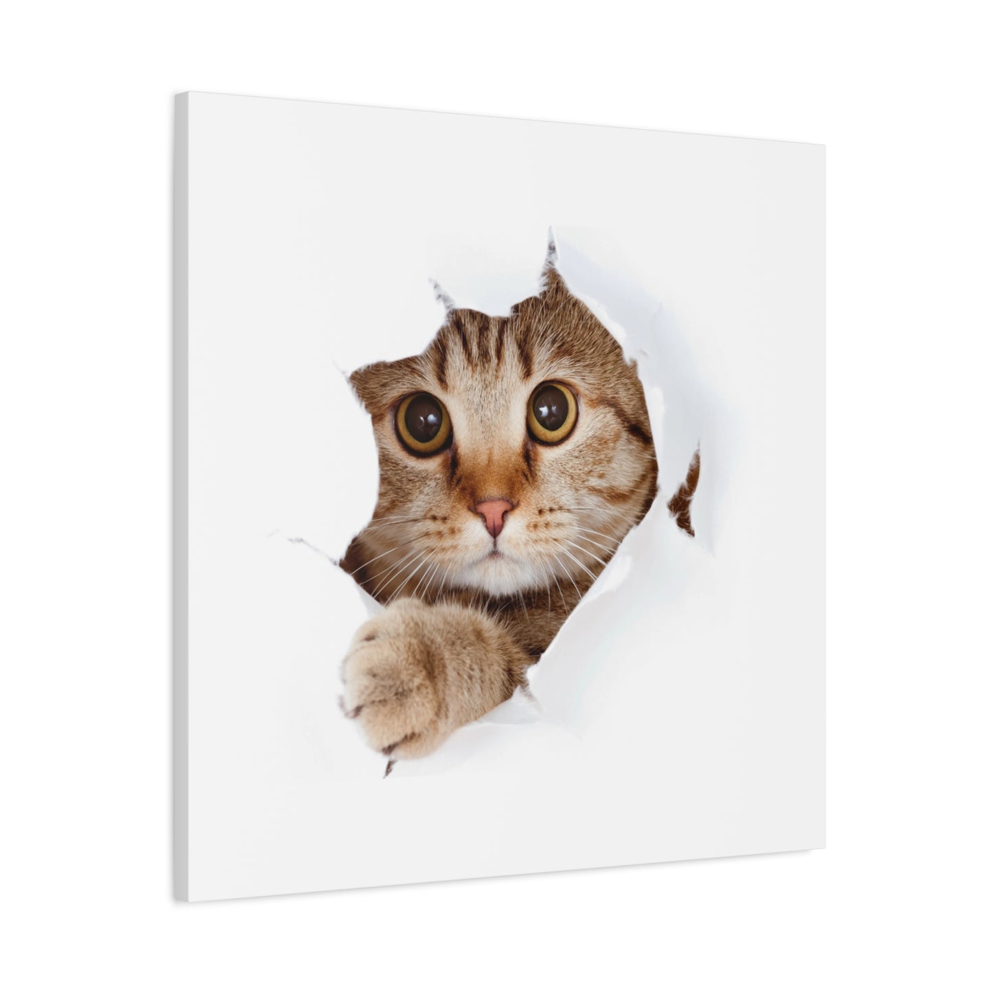 Whimsical Cat Canvas Art, Playful Decor for Cat Lovers, Home Wall Art, Pet-Themed Gift, Cute Cat Wall Art, Cat Lover's Decoration