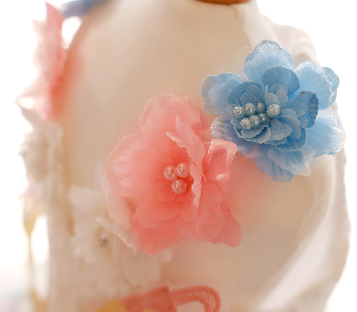 Fairy Wings Gown