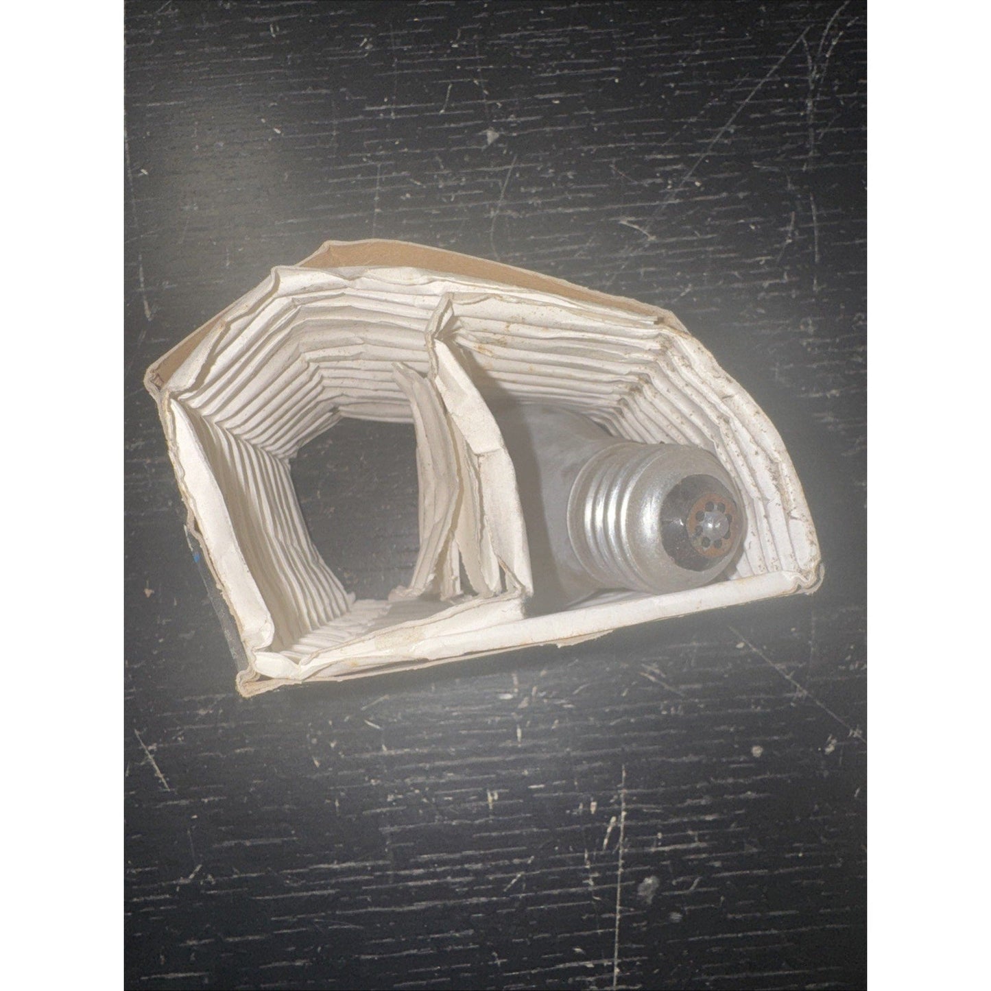 Philips Long Duration 15W Light Bulb
