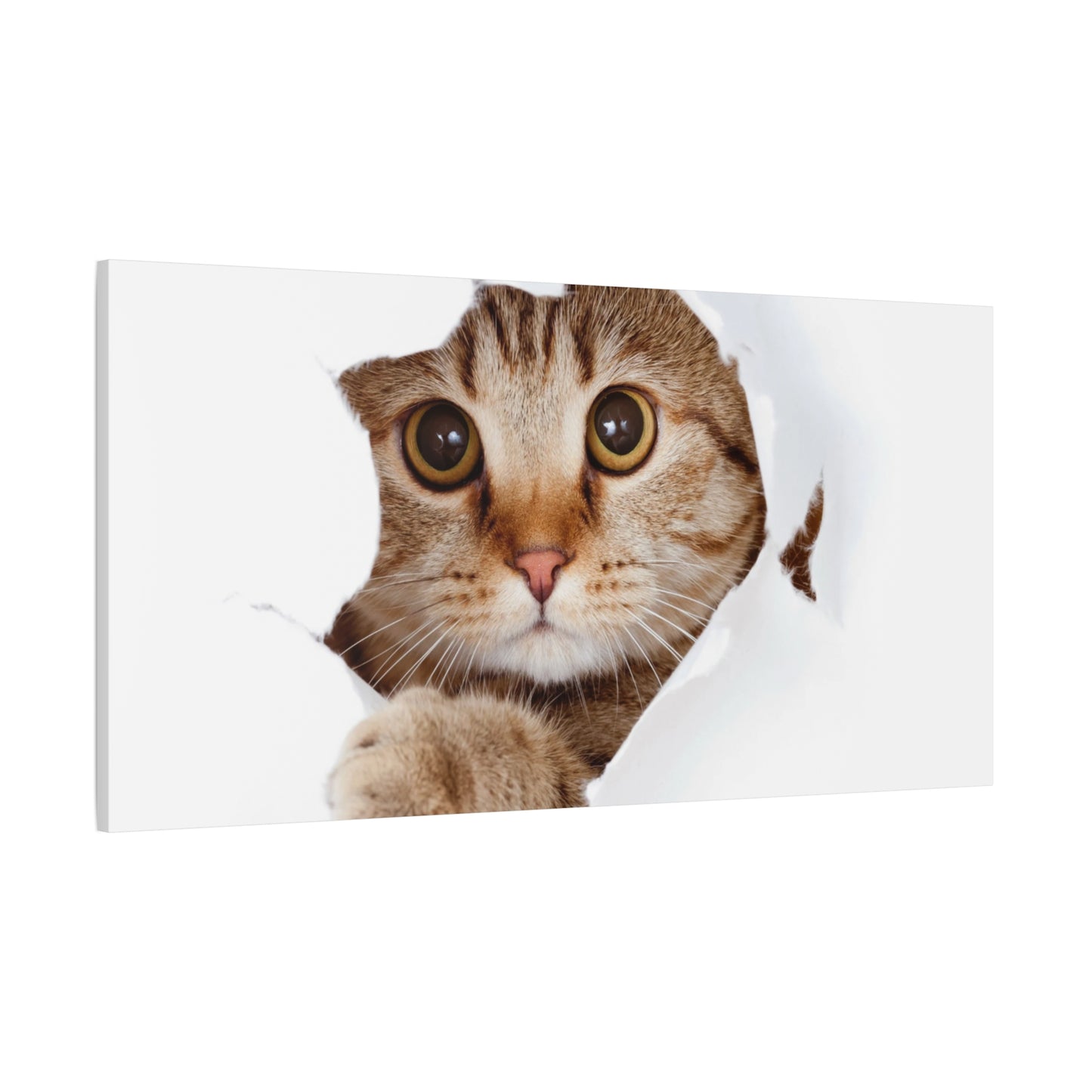 Whimsical Cat Canvas Art, Playful Decor for Cat Lovers, Home Wall Art, Pet-Themed Gift, Cute Cat Wall Art, Cat Lover's Decoration