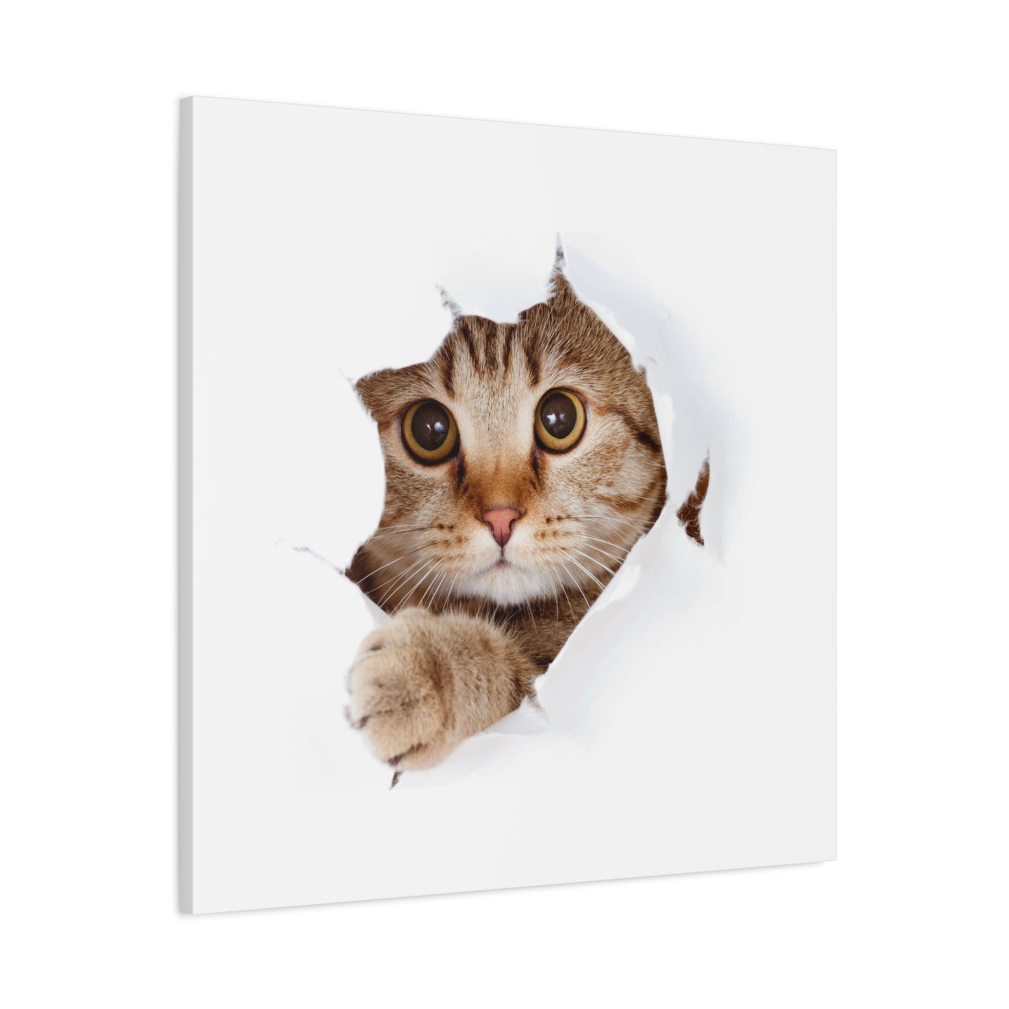 Whimsical Cat Canvas Art, Playful Decor for Cat Lovers, Home Wall Art, Pet-Themed Gift, Cute Cat Wall Art, Cat Lover's Decoration