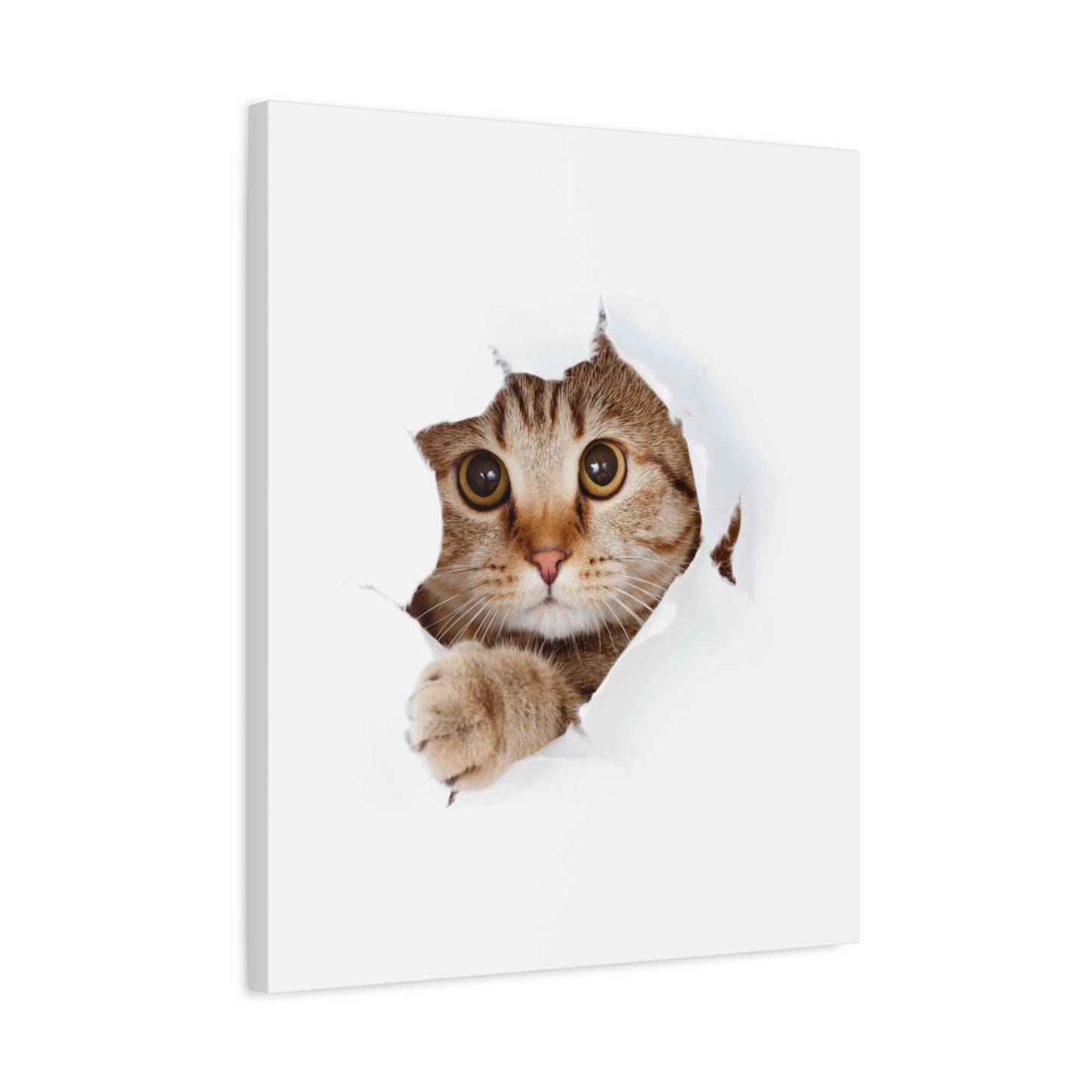 Whimsical Cat Canvas Art, Playful Decor for Cat Lovers, Home Wall Art, Pet-Themed Gift, Cute Cat Wall Art, Cat Lover's Decoration