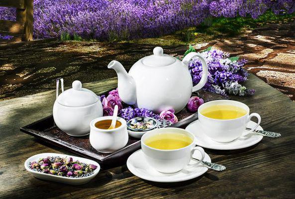 White Tea Cup 8 Oz | 250 Ml-3