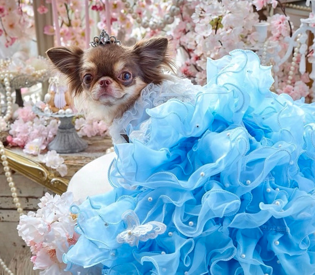 Handmade Luxury Pet Gown Trailing Dress Blue Chiffon Dog Gown Dog Dress