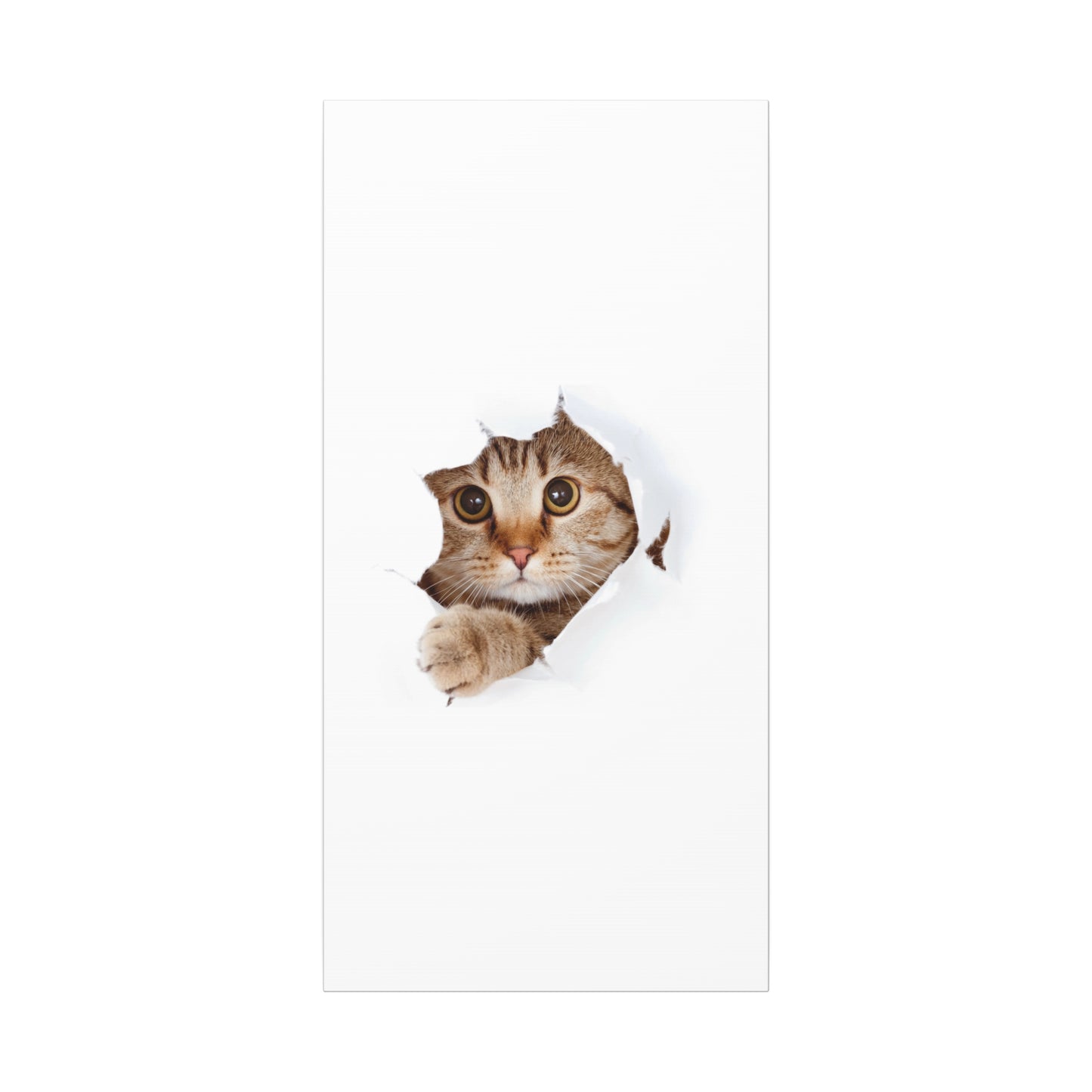 Whimsical Cat Canvas Art, Playful Decor for Cat Lovers, Home Wall Art, Pet-Themed Gift, Cute Cat Wall Art, Cat Lover's Decoration