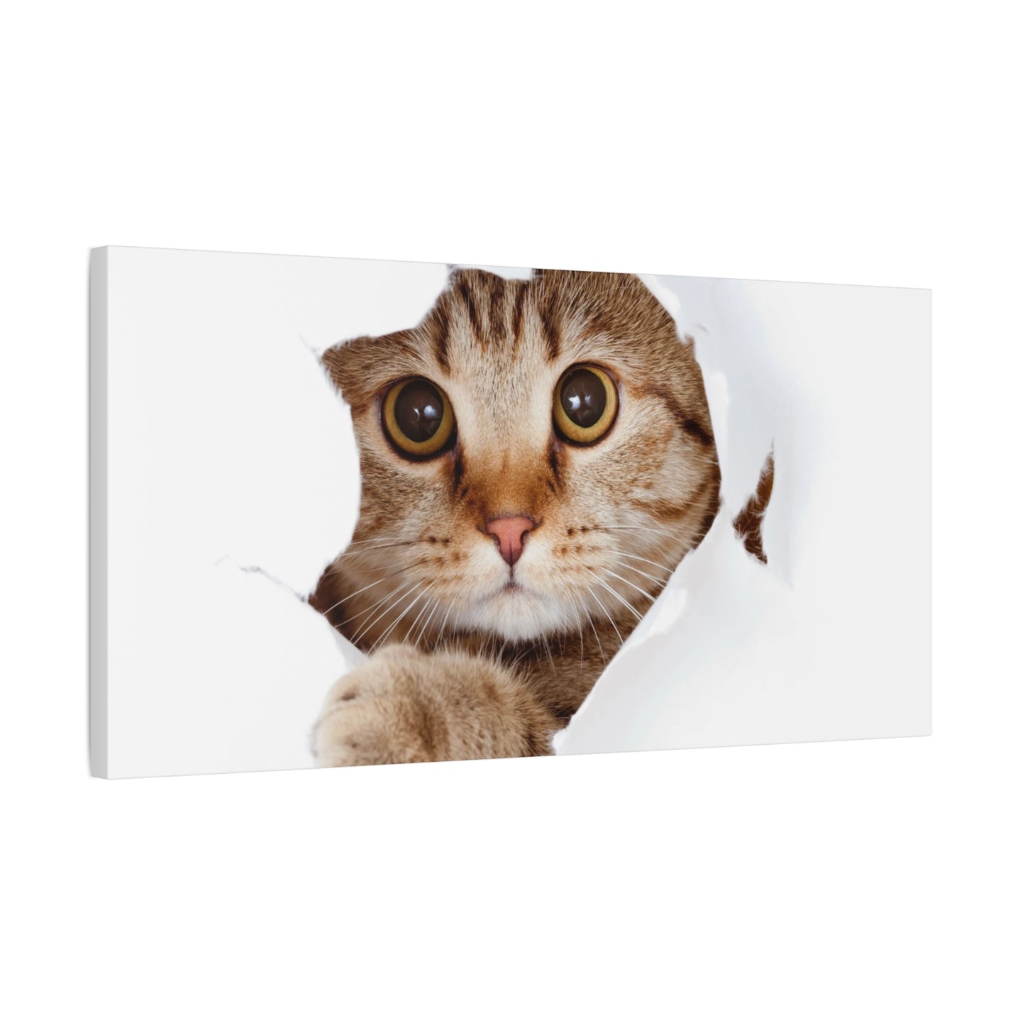 Whimsical Cat Canvas Art, Playful Decor for Cat Lovers, Home Wall Art, Pet-Themed Gift, Cute Cat Wall Art, Cat Lover's Decoration