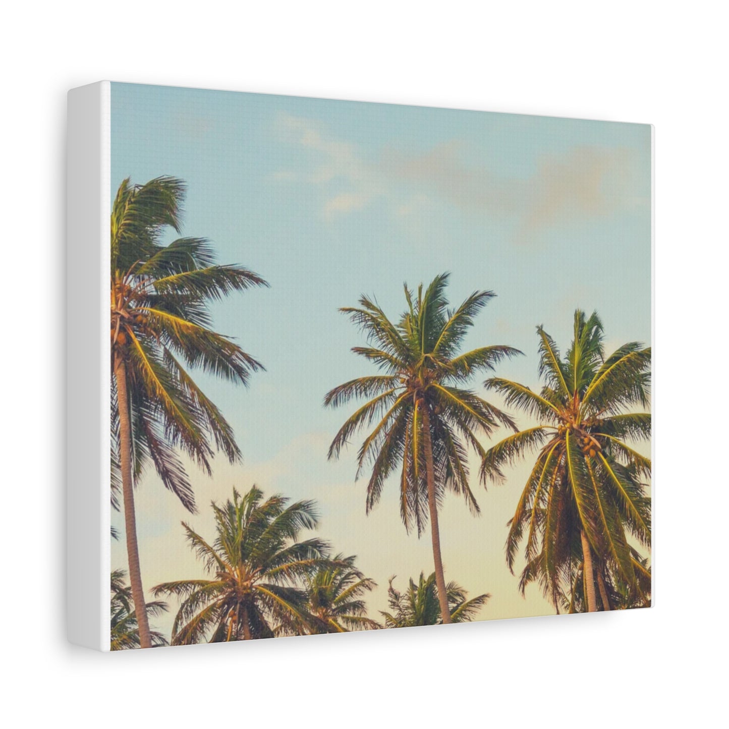 Tropical Palm Tree Canvas Print, City of Angeles Tropical Wall Art, Los Angeles Beach Decor, California Nature Photography, Home Decoration, Gift for Beach Lovers