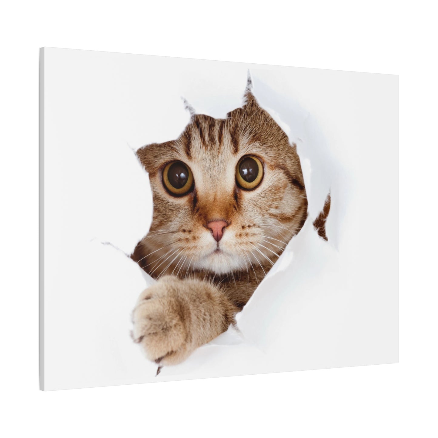 Whimsical Cat Canvas Art, Playful Decor for Cat Lovers, Home Wall Art, Pet-Themed Gift, Cute Cat Wall Art, Cat Lover's Decoration