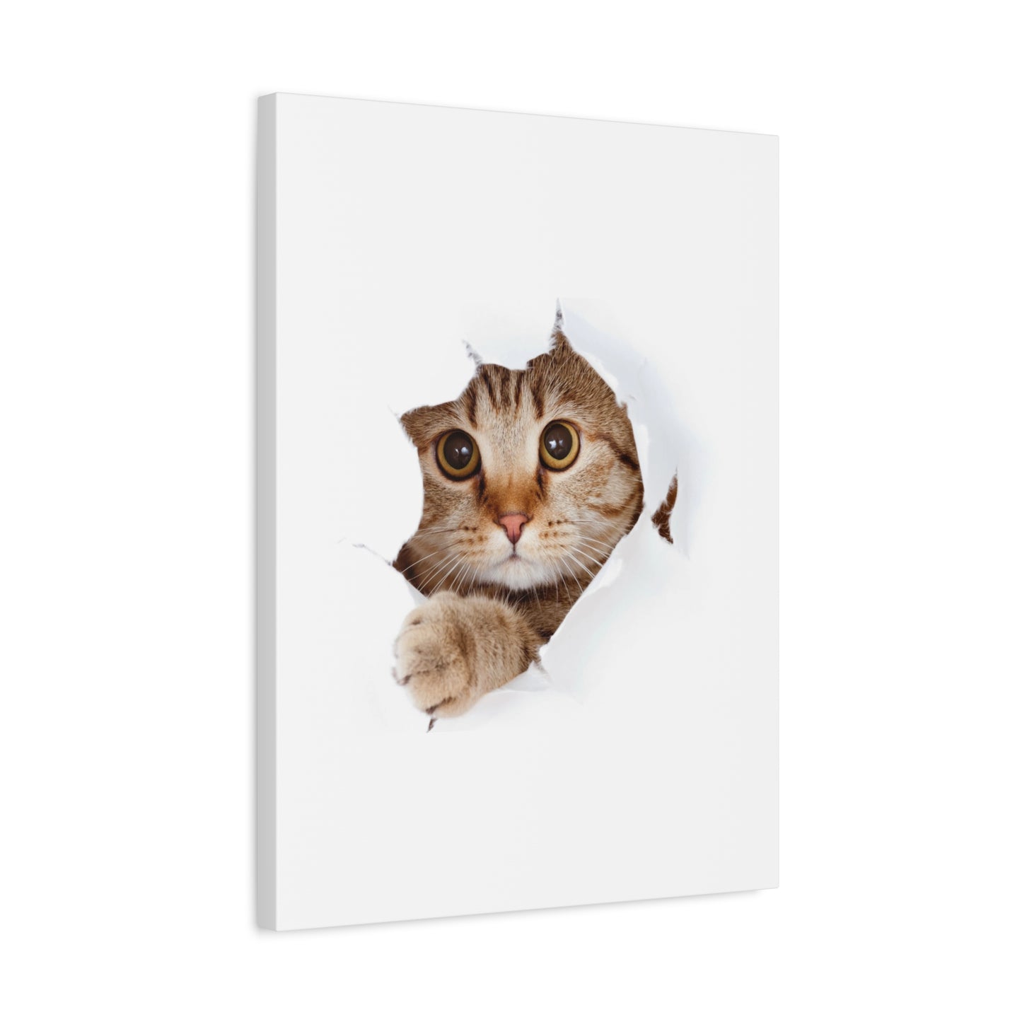 Whimsical Cat Canvas Art, Playful Decor for Cat Lovers, Home Wall Art, Pet-Themed Gift, Cute Cat Wall Art, Cat Lover's Decoration