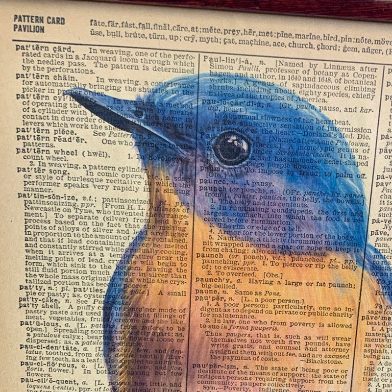 Handmade Upcycled Bluebird Bird Printed on Vintage Dictionary Page Wall Art