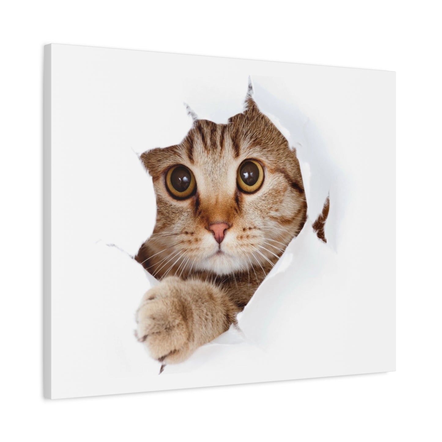 Whimsical Cat Canvas Art, Playful Decor for Cat Lovers, Home Wall Art, Pet-Themed Gift, Cute Cat Wall Art, Cat Lover's Decoration