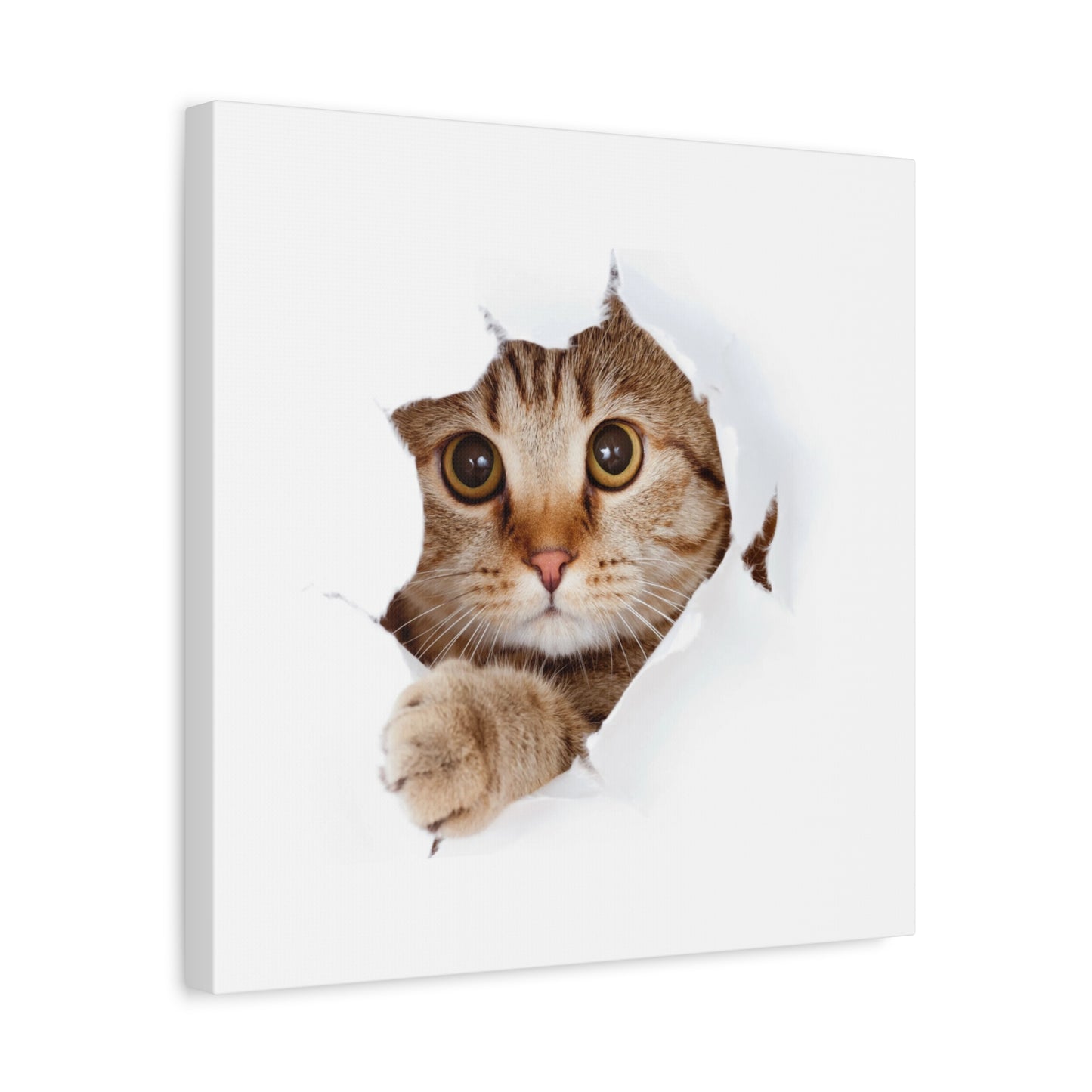 Whimsical Cat Canvas Art, Playful Decor for Cat Lovers, Home Wall Art, Pet-Themed Gift, Cute Cat Wall Art, Cat Lover's Decoration