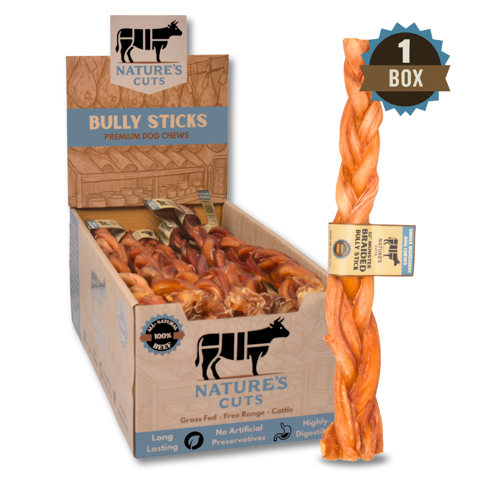 12" Monster Braided Bully Sticks Display Box-0