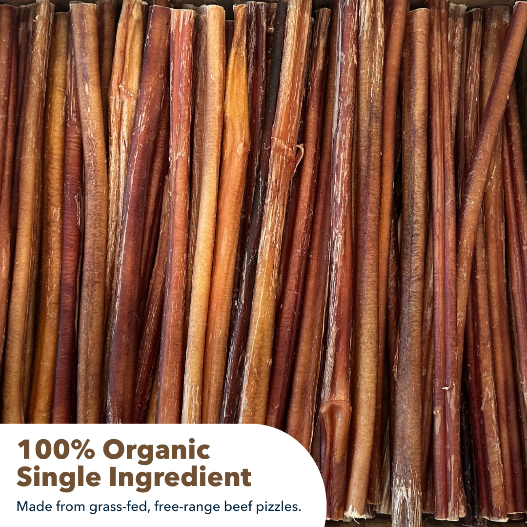 12" Standard Bulk Bully Sticks-3