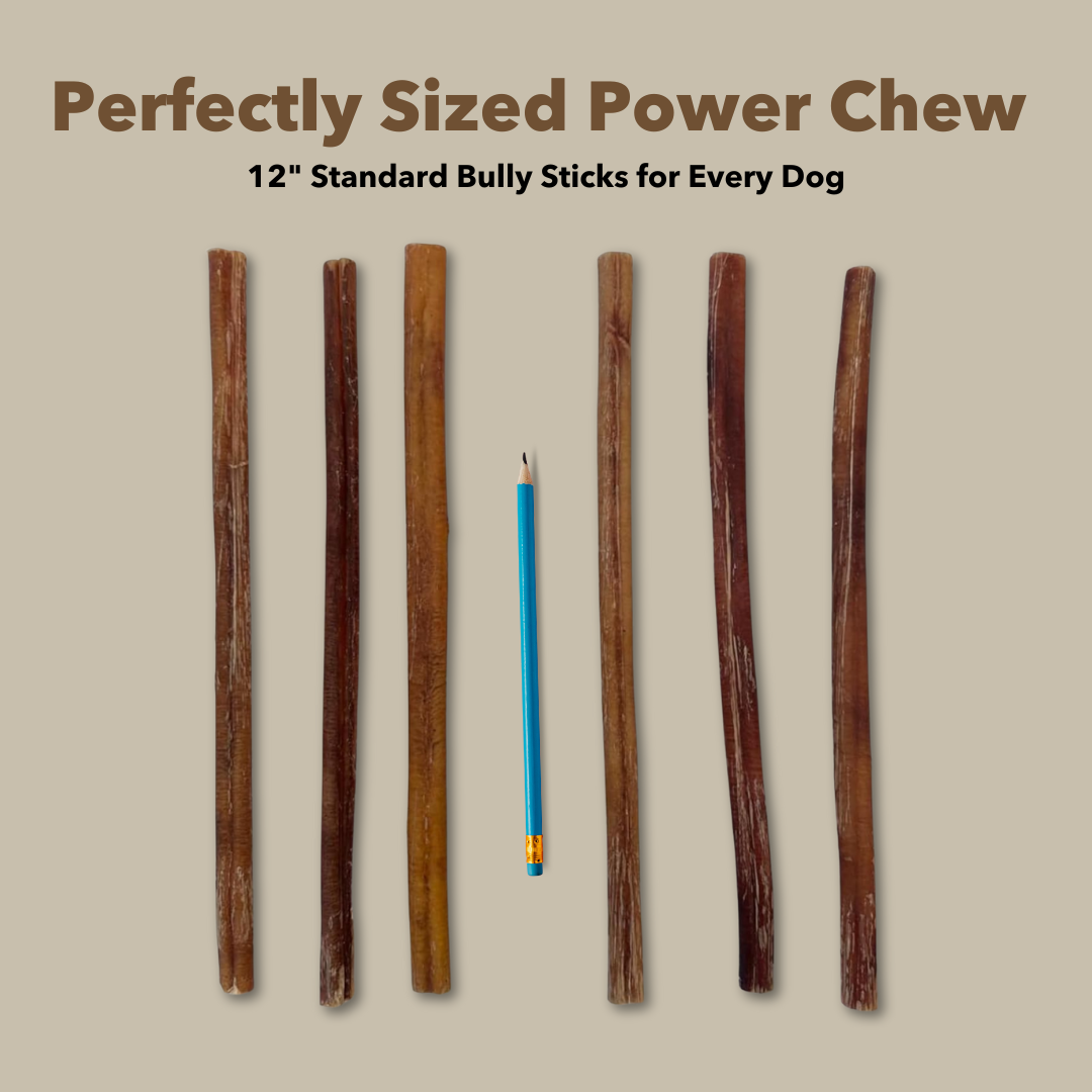 12" Standard Bulk Bully Sticks-4