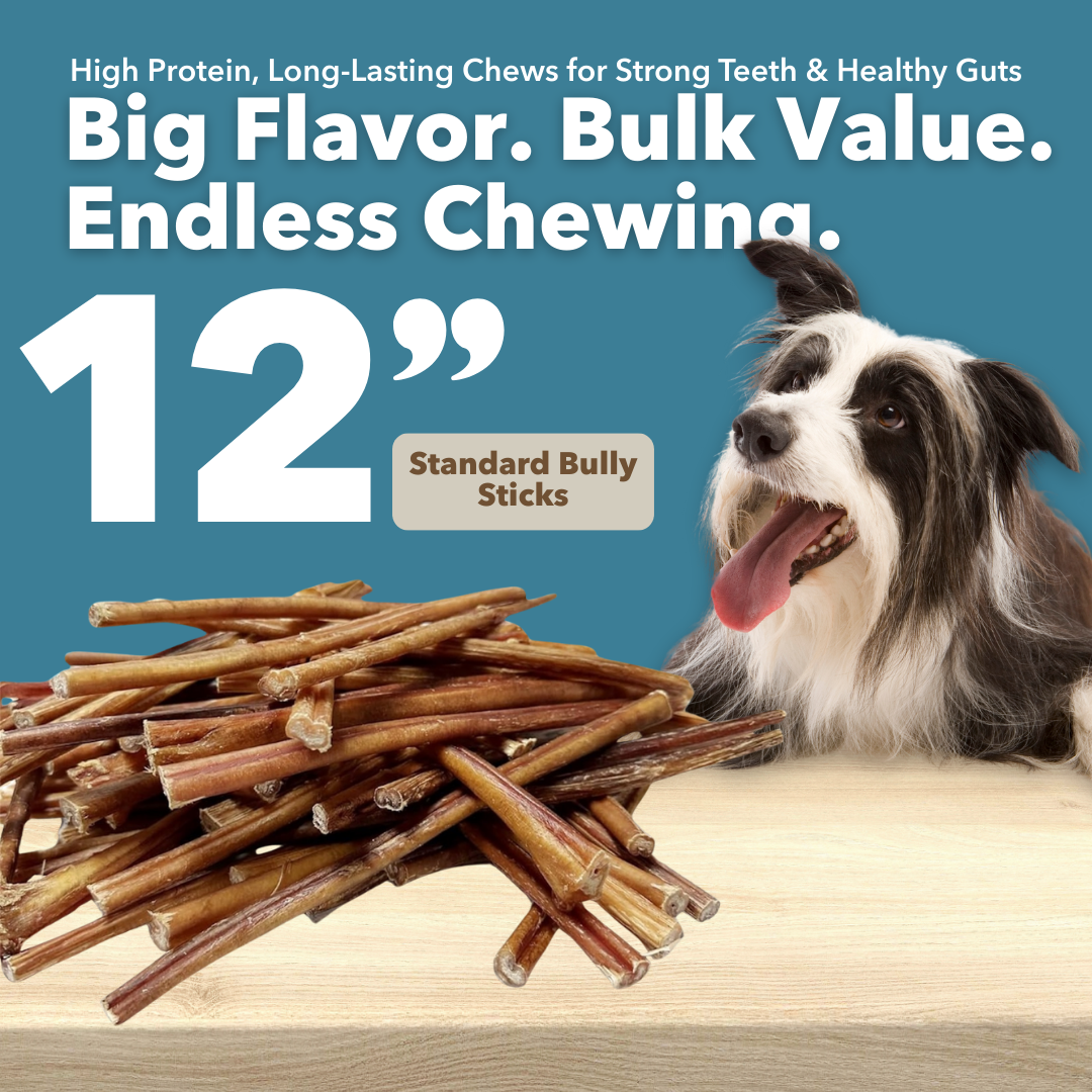 12" Standard Bulk Bully Sticks-1