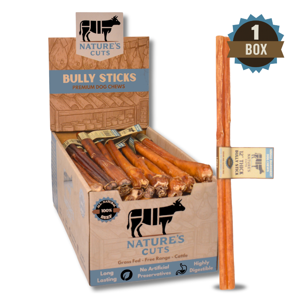 12" Thick Bully Sticks Display Box-5