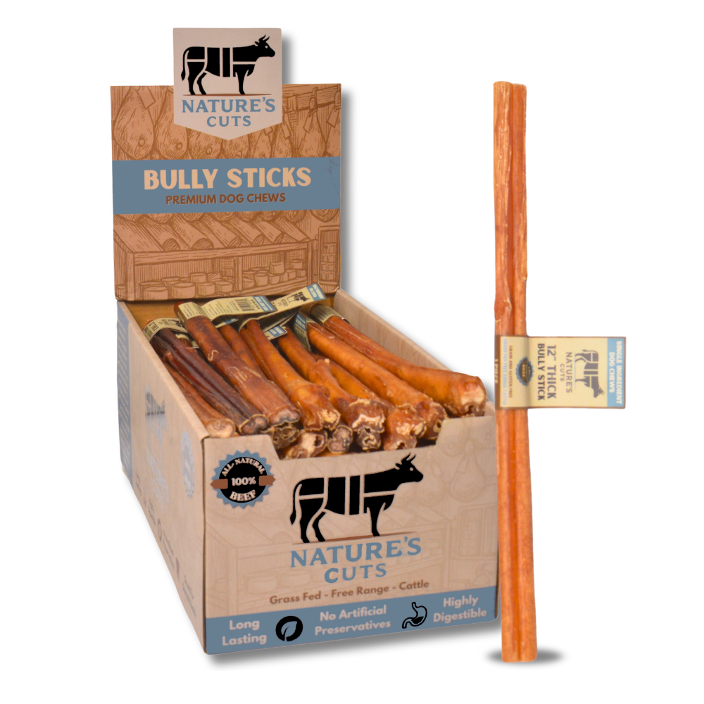 12" Thick Bully Sticks Display Box-0