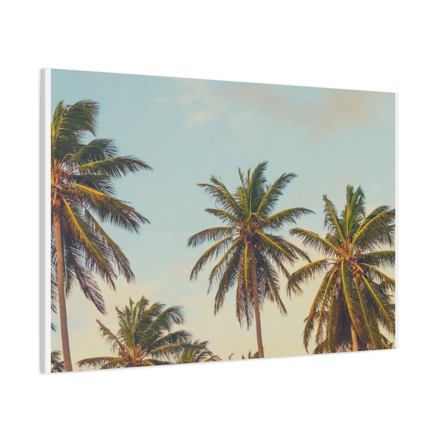 Tropical Palm Tree Canvas Print, City of Angeles Tropical Wall Art, Los Angeles Beach Decor, California Nature Photography, Home Decoration, Gift for Beach Lovers