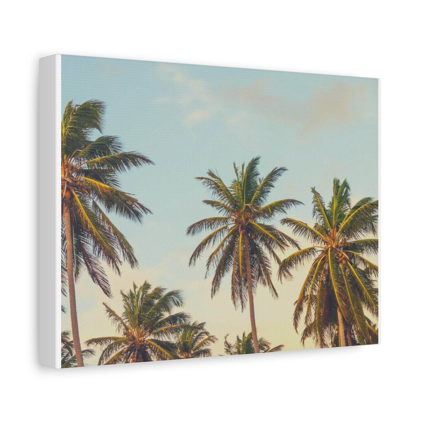 Tropical Palm Tree Canvas Print, City of Angeles Tropical Wall Art, Los Angeles Beach Decor, California Nature Photography, Home Decoration, Gift for Beach Lovers
