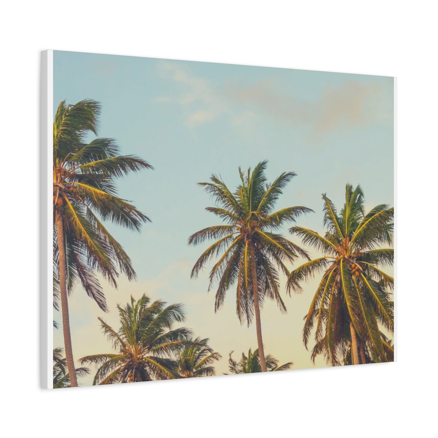 Tropical Palm Tree Canvas Print, City of Angeles Tropical Wall Art, Los Angeles Beach Decor, California Nature Photography, Home Decoration, Gift for Beach Lovers